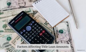 Factors Affecting Title Loan Amounts