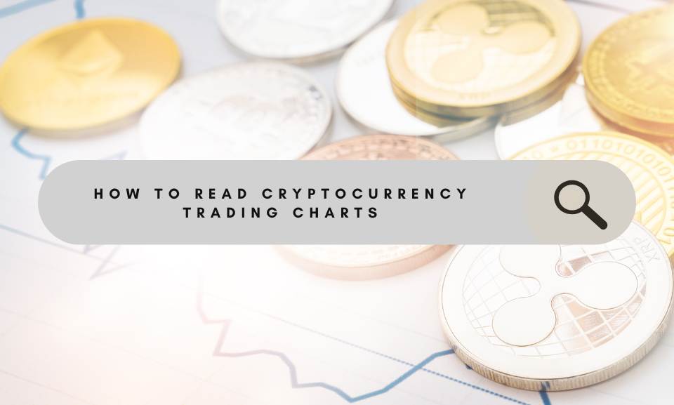 How To Read Cryptocurrency Trading Charts